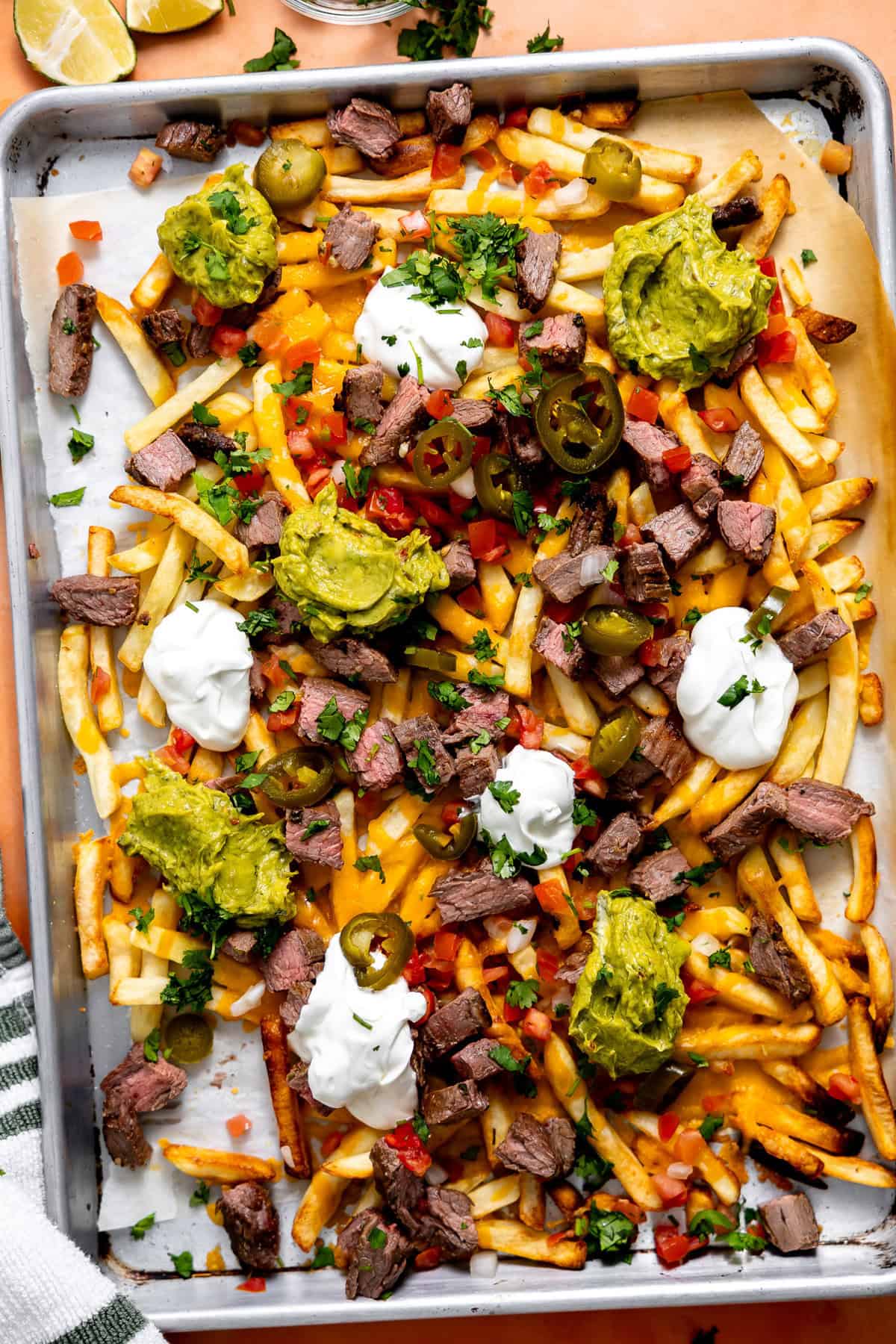 Carne Asada Fries